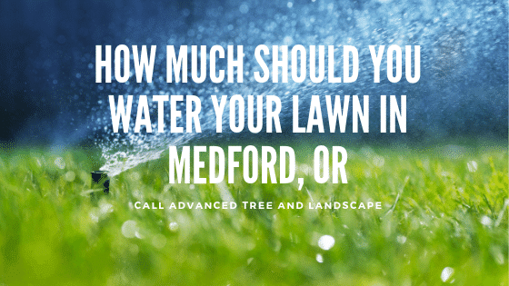 How Much Should You Water Your Lawn in Medford, OR