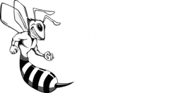 Busy Bee Media - Internet Marketing Company